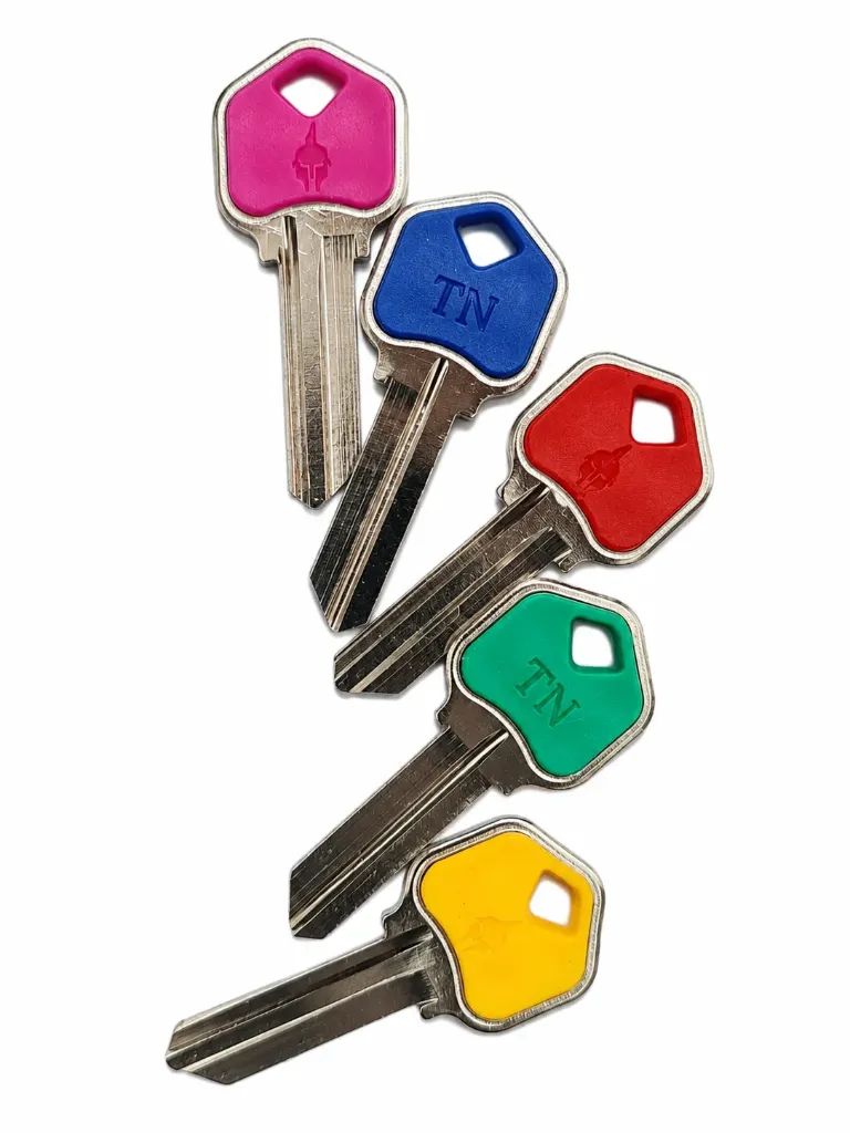MODELO LLAVE  1090 COLOR    X 100 UND